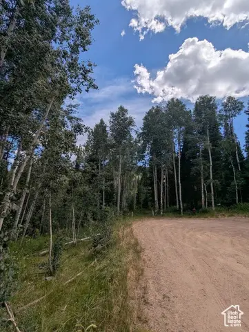 11319 E Tanglewood Dr S #654, Heber City, UT 84032