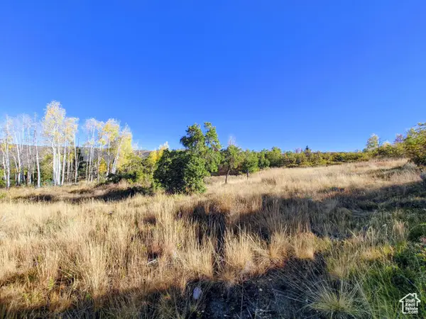 1813 S Greenleaf Rd #341, Heber City, UT 84032