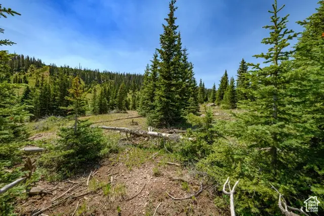 Address Withheld By Seller, Brian Head, UT 84719 - Image #1