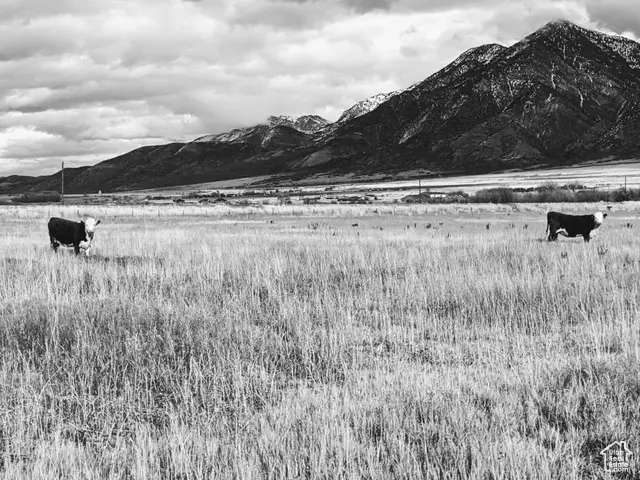 912 W Goshen Rd, Mona, UT 84645 - Image #3