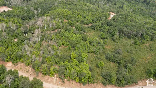 23209 N 13812 #50, Fairview, UT 84629 - Image #1