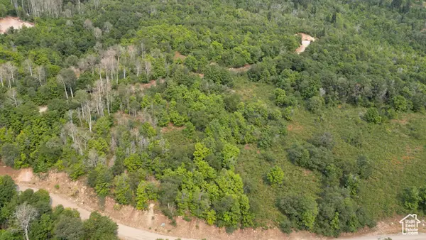 23209 N 13812 #50, Fairview, UT 84629