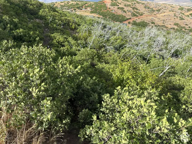 #27-28, Fairview, UT 84629 - #3