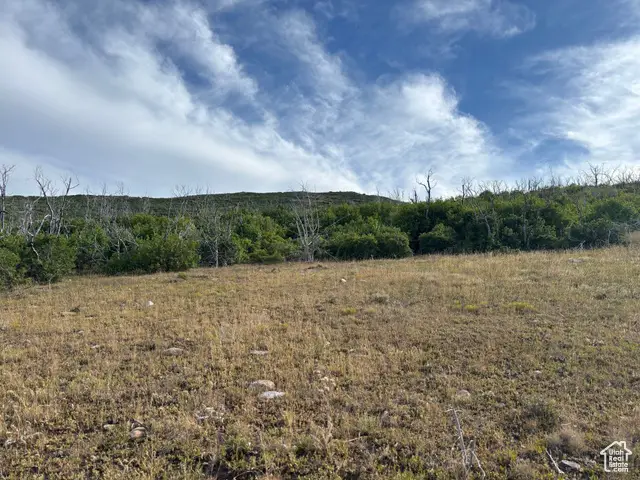 Address Withheld By Seller, Fairview, UT 84021 - #2