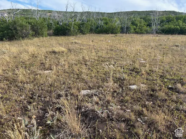 Address Withheld By Seller, Fairview, UT 84021 - #3