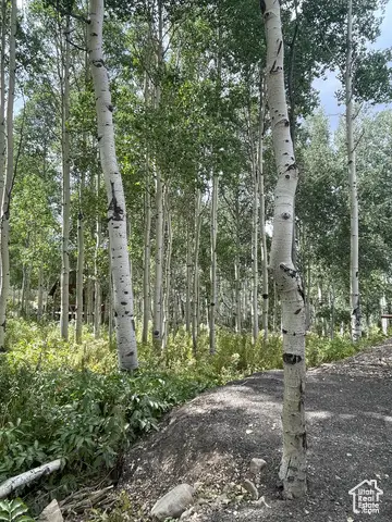 11485 Violet Way #1845, Heber City, UT 84032 - Image #3