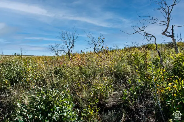 #0144, Fruitland, UT 84027 - #3