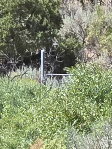 8344 S Lower Red Creek Rd. Rd #14, Fruitland, UT 84027 - Image #2