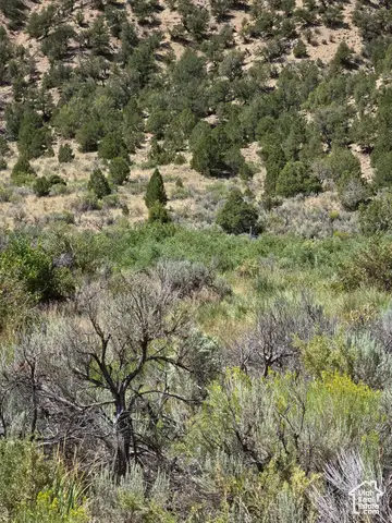 8344 S Lower Red Creek Rd. Rd #14, Fruitland, UT 84027 - Image #3