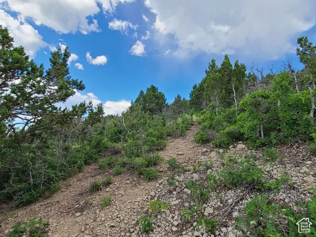 9 N Pine Nut Way E #9, Fairview, UT 84629 - Image #3