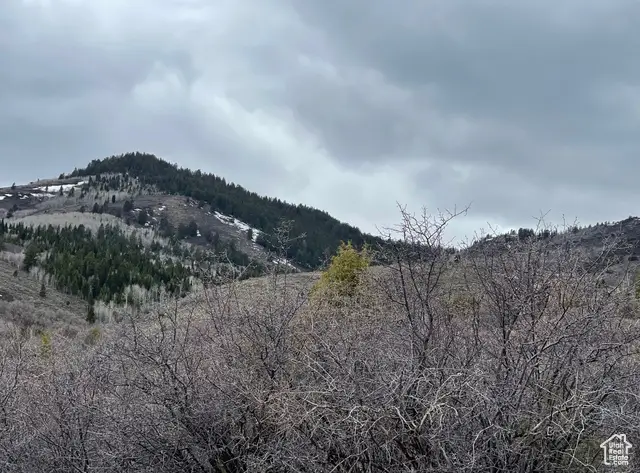 57 Dogwood Cir #633, Fish Haven, ID 83287 - Image #3