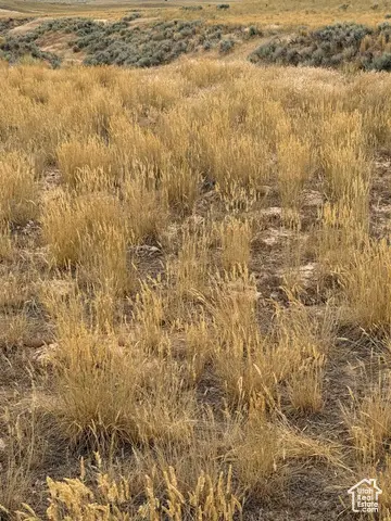 Address Withheld By Seller, Levan, UT 84638 - Image #3