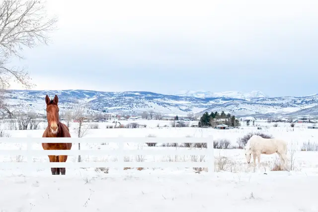 1538 Stewart Ln #3, Kamas, UT 84036 - Image #1