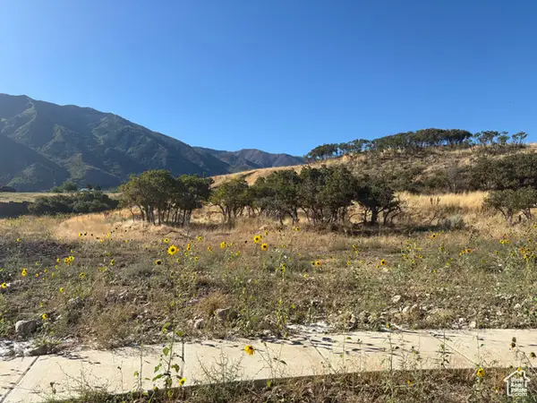 1605 S 920 E #67, Salem, UT 84653