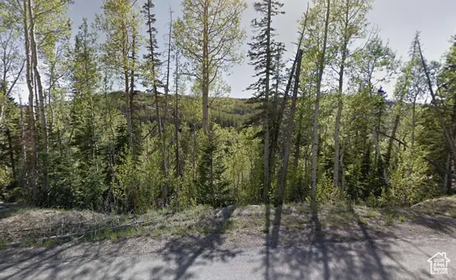 213 N Aoki Michi Rd, Brian Head, UT 84719 - Image #2