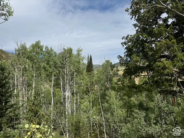 8576 The Meadow Rd #4, Oakley, UT 84055 - Image #3