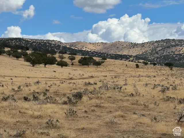 22280 N 2500 E #25, Fountain Green, UT 84632 - Image #2