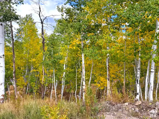 4519 S Fawn Way #2051, Heber City, UT 84032 - Image #1