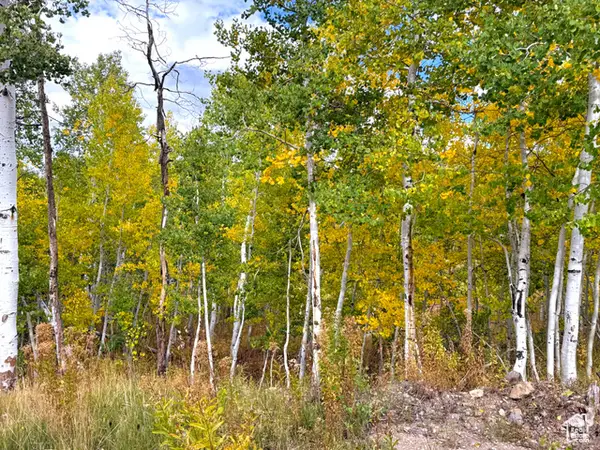 4519 S Fawn Way #2051, Heber City, UT 84032