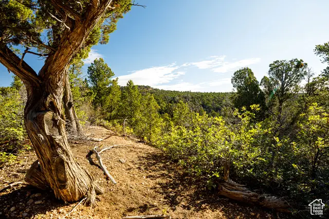 245 Slide Canyon Rd #245, Kanab, UT 84741 - Image #1