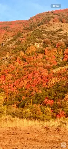 86 S Grandison Ct E #79-R, Fruit Heights, UT 84037 - Image #3