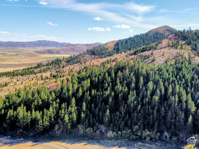 22 Skinner Canyon Rd, Montpelier, ID 83254 - Image #3