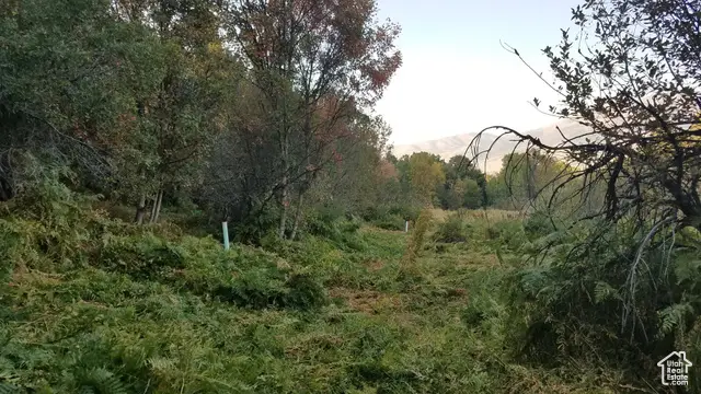 2522 N Nordic Valley Dr #23, Eden, UT 84310 - Image #2