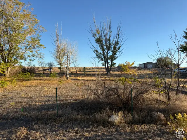 3340 E 5000 S, Naples, UT 84078 - Image #3