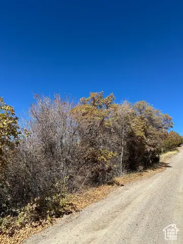 22949 N 13755 E #93, Fairview, UT 84629 - Image #2