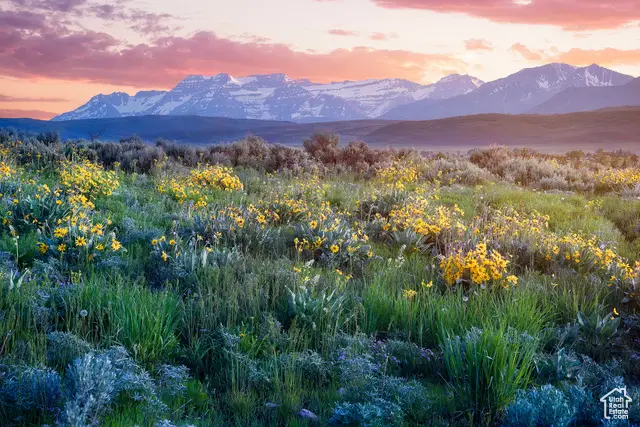 1115 E Hoyt Peak Ranch Rd #4, Marion, UT 84036 - Image #1