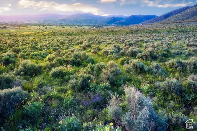 1115 E Hoyt Peak Ranch Rd #4, Marion, UT 84036 - Image #2