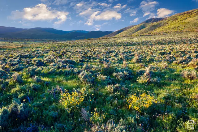 1115 E Hoyt Peak Ranch Rd #4, Marion, UT 84036 - Image #3