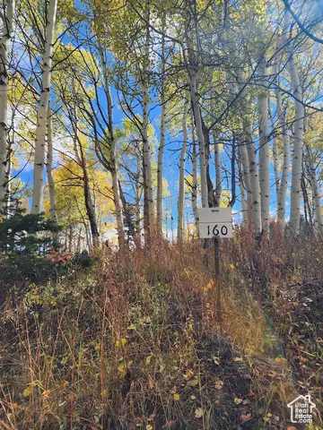 771 Porcupine Loop, Coalville, UT 84017 - Image #2