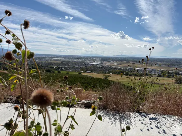 4211 N Moose Ln #128, Pleasant View, UT 84414