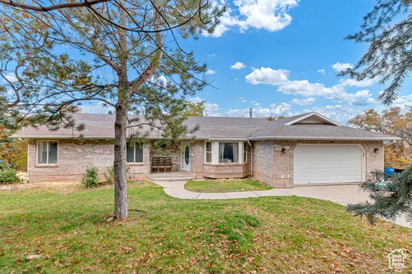 195 S Oak Dr, Woodland Hills, UT 84653