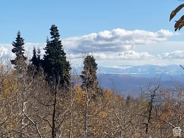 1839 W Valley Vista Dr #E43, Coalville, UT 84017 - Image #2