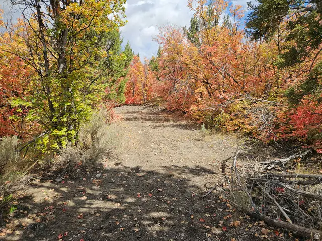 16 E Lake Fork Dr S #16, Fairview, UT 84629 - Image #2