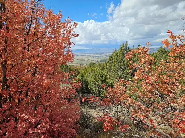 30 E Elk Springs Dr S #30, Fairview, UT 84629