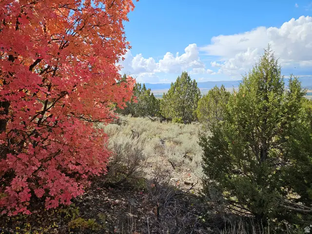 30 E Elk Springs Dr S #30, Fairview, UT 84629 - Image #2