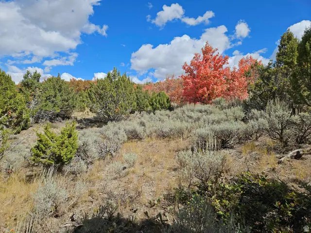 30 E Elk Springs Dr S #30, Fairview, UT 84629 - Image #3