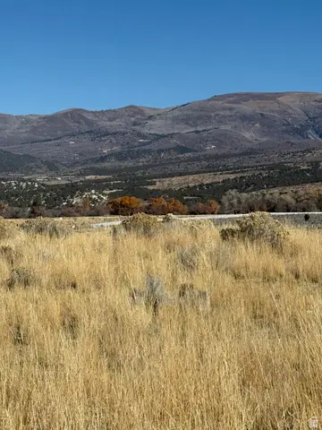 1 Pine Creek Rd #1, Mount Pleasant, UT 84647 - Image #3