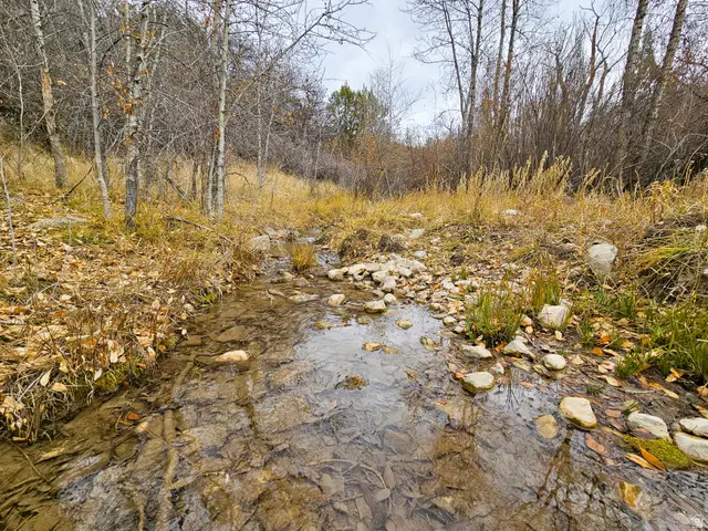 24 Spring Creek Dr #B24, Fairview, UT 84629 - Image #2