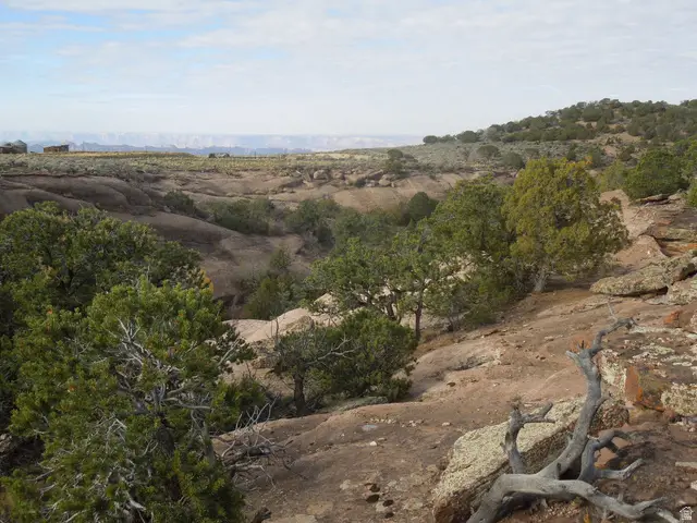 411 W Sand Flats Rd 11675 E L On Pub Rd, Moab, UT 84532 - Image #2