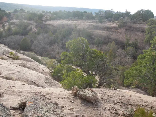 411 W Sand Flats Rd 11675 E L On Pub Rd, Moab, UT 84532 - Image #3