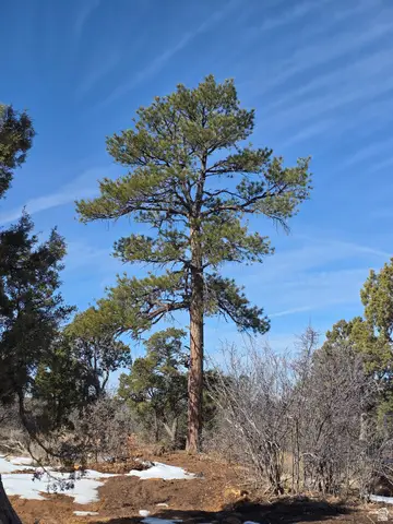 95 S Wray Mesa Rd #10, La Sal, UT 84530 - Image #3