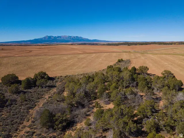 Address Withheld By Seller, Monticello, UT 84535 - Image #3