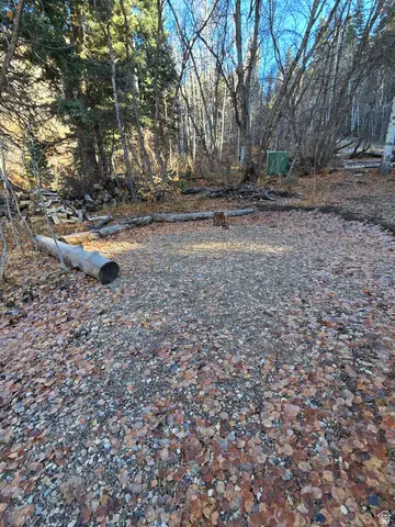 827 E North Fork Rd #827, Fairview, UT 84629 - Image #3