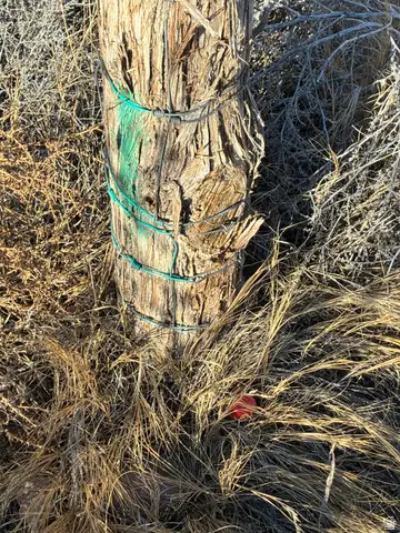 9813 E 4000 N, Lapoint, UT 84039 - Image #2