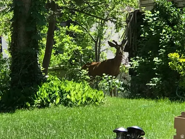 2113 E Fardown Ave, Holladay, UT 84121