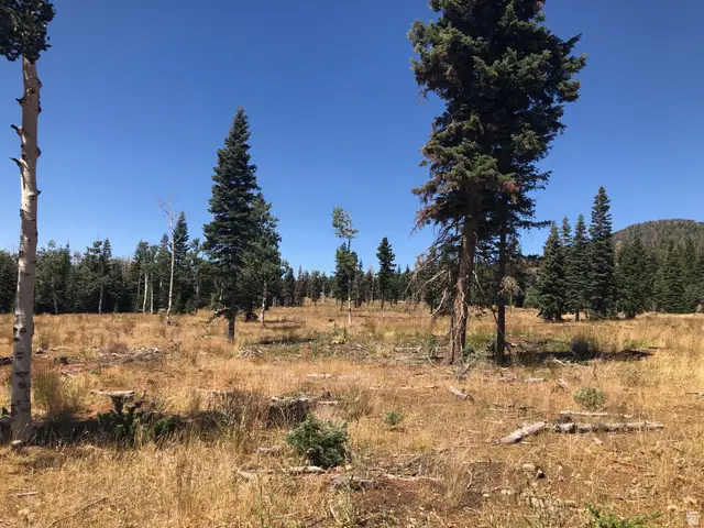 North Fork Rd S, Duck Creek Village, UT 84762 - Image #1